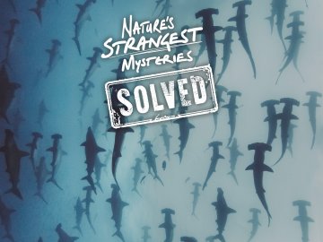 Nature's Strangest Mysteries: Solved