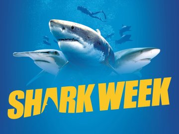 Shark Week