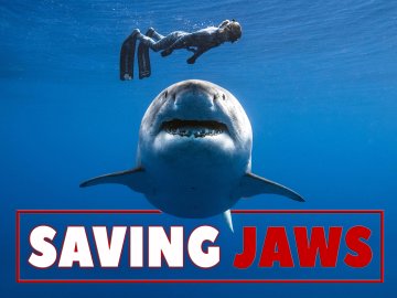 Saving Jaws