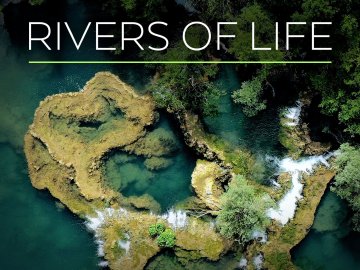 Rivers of Life