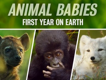 Animal Babies: First Year on Earth