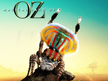 Magical Land of Oz