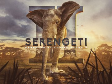 Serengeti