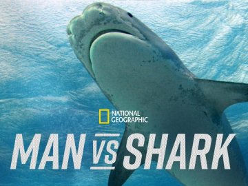 Man vs. Shark