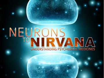 Neurons to Nirvana