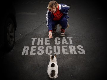 The Cat Rescuers