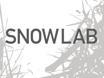 Snow Lab