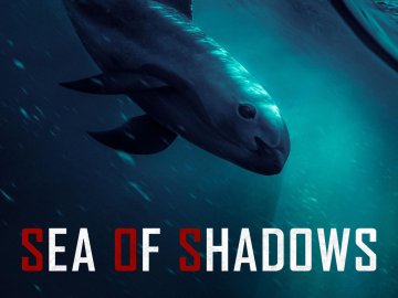 Sea of Shadows