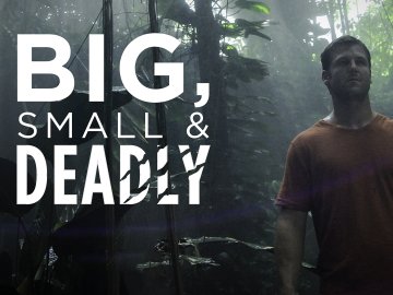 Big, Small & Deadly