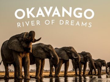 Okavango: River Of Dreams