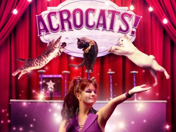 Acrocats!