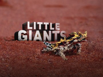 Little Giants