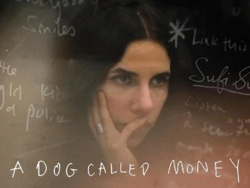 Pj Harvey: A Dog Called Money