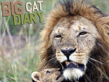 Big Cat Diary