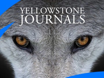 Yellowstone Journals