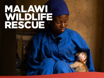 Malawi Wildlife Rescue