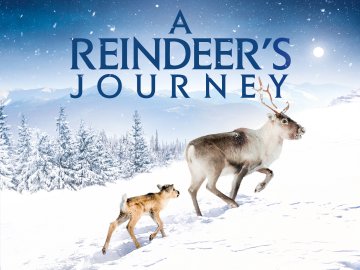 A Reindeer's Journey