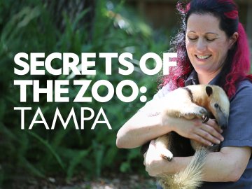 Secrets of the Zoo: Tampa