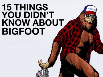 15 Things You Didn't Know About Bigfoot