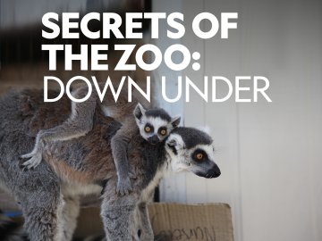 Secrets of the Zoo: Down Under