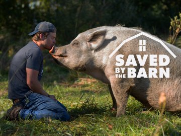 Saved By The Barn