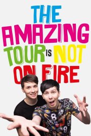 Dan and Phil's The Amazing Tour is Not on Fire