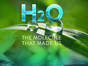 H2O: The Molecule That Made Us