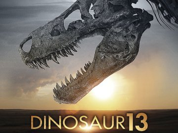 Dinosaur 13