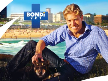 Bondi Vet