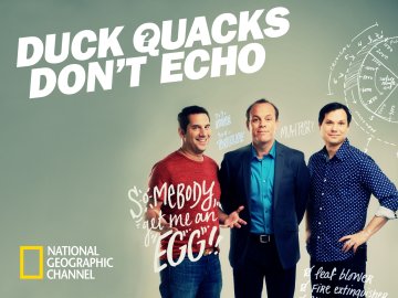 Duck Quacks Don't Echo