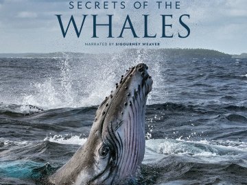 Secrets of the Whales