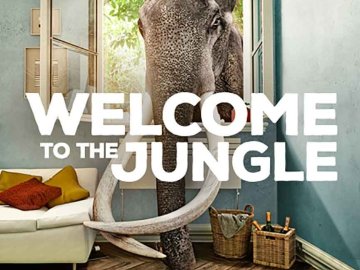 Welcome to the Jungle