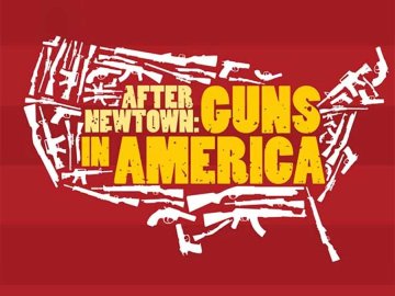 After Newtown: Guns in America