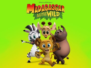 Madagascar: A Little Wild