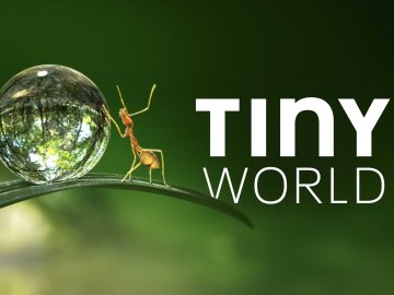 Tiny World