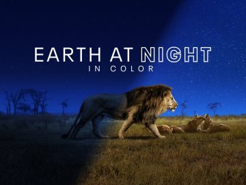 Earth At Night In Color