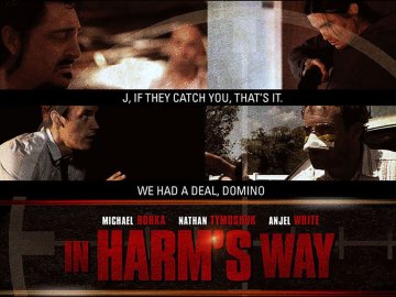 In Harm's Way