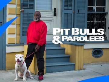 Pit Bulls & Parolees