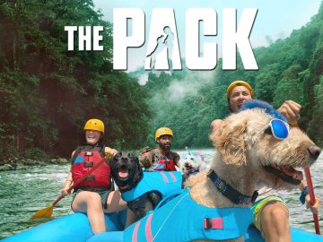 The Pack