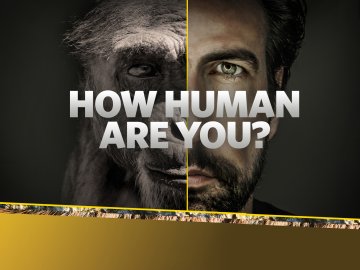 How Human Are You?