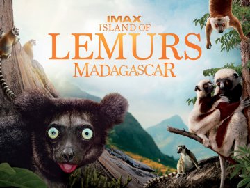 Island of Lemurs: Madagascar 3D