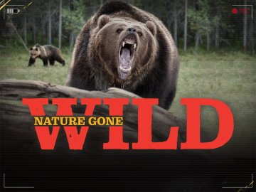 Nature Gone Wild