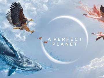 A Perfect Planet