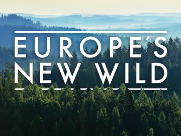 Europe's New Wild