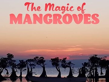 The Magic of Mangroves