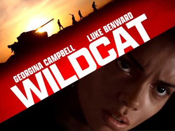 Wildcat