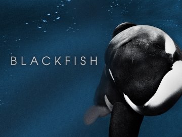 Blackfish