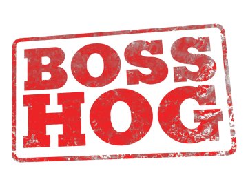 Boss Hog