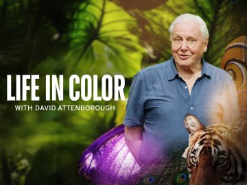 Life In Color With David Attenborough