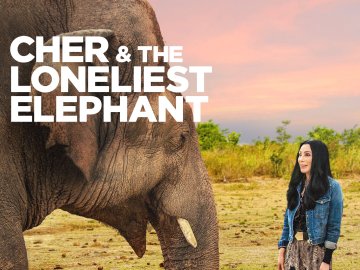 Cher & The Loneliest Elephant